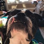 Profile Picture of Joseph (@imjoeharlan) on Instagram