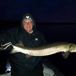 Profile Picture of Wayne Larson (@wlarson15) on Instagram