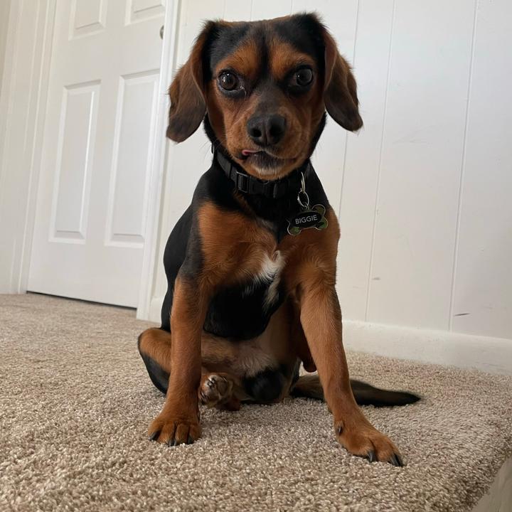 Profile Picture of jordyn smith (@@jordynmsmith) on Tiktok