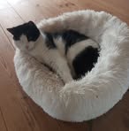 Profile Picture of Joakim Johansson (@Joakim-Johansson) on Facebook