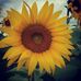 Profile Picture of Krista Stroup (@krista.stroup.98) on Facebook