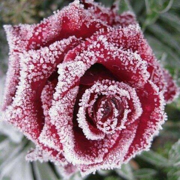 Shay Elenz - Poshmark Profile Picture of Shay Elenz (@shayleen13) on Poshmark