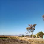 Profile Picture of Jose Olguin (@Jose-Olguin) on Facebook