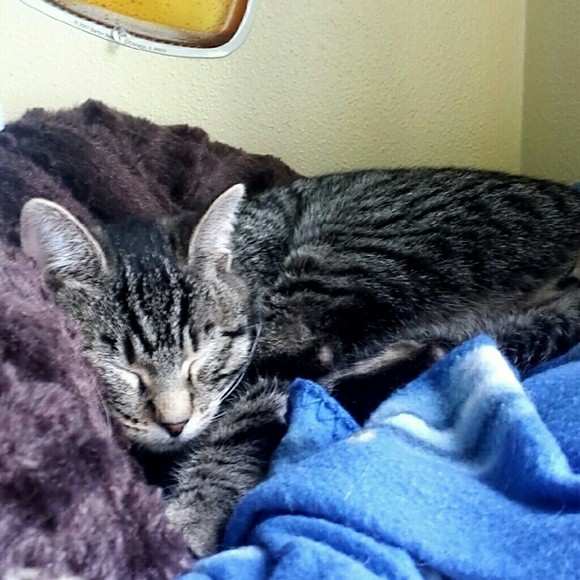 Profile Picture of Heather Hellenbrand (@hhellenbrand) on Poshmark