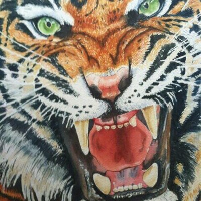 Profile Photo of Kim Durham 🐅 (@KayDee1985) on Twitter