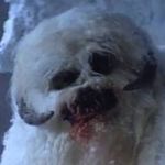 Profile Picture of David Průcha (@david_prucha) on Instagram
