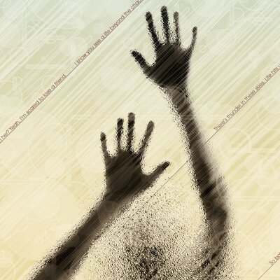 Profile Picture of Steve Spellman (@orchid_stration) on Twitter