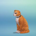 Profile Picture of koty są super (@immagaybruh) on Instagram