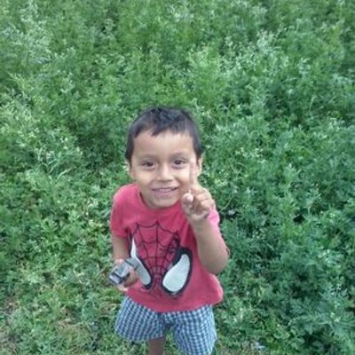 Profile Picture of Alex Lezama Lezama (@alexlezama8294) on Twitter