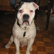 Profile Picture of Kerry Wilkinson (@kerrywilkinson2032) on Youtube