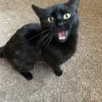 Profile Picture of Barbie Holub (@barbie.holub) on Facebook