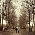 Profile Picture of Chris Parcell (@chris.parcell.032013) on Instagram