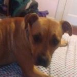 Profile Picture of Randy Clevenger (@randy.clevenger.39) on Instagram