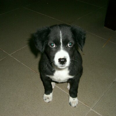 Profile Picture of Damen (@damen_steven) on Twitter