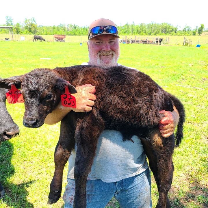 Profile Picture of Mark Foran (@markforan3) on Tiktok