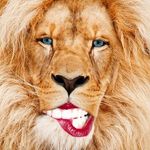 Profile Picture of Paula (@drew_downey_) on Instagram