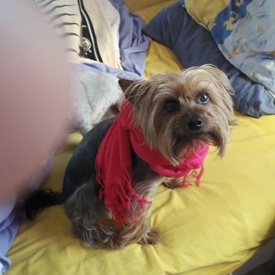 Profile Picture of Andrew Pietersen (@andrewpieterse6) on Twitter