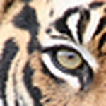 Cinny Lou Who - Flickr Profile Picture of Cinny Lou Who (@cinny lou who) on Flickr