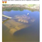 Profile Picture of Raymond (@raymondbotto) on Instagram