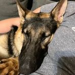 Profile Picture of Haylee Vance (@Haylee-Vance) on Facebook