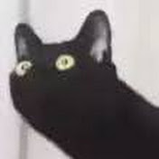 Profile Picture of Xue Bin (@xuebin5649) on Youtube