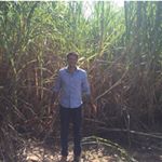 Profile Picture of RobertoCA (@robertocronenbold) on Instagram