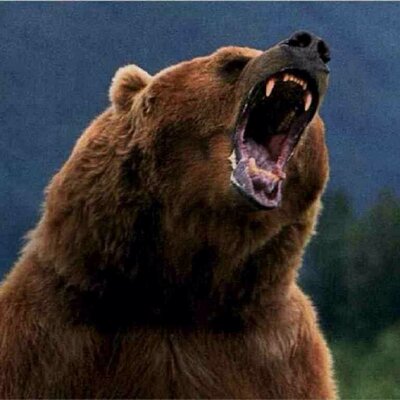 Profile Picture of Jon Saxon (@tweetwhenangry) on Twitter