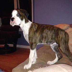 Profile Picture of Keith Flatt (@FlattKeith) on Twitter