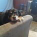 Profile Picture of Earnest Roberts (@earnest.roberts.79) on Facebook