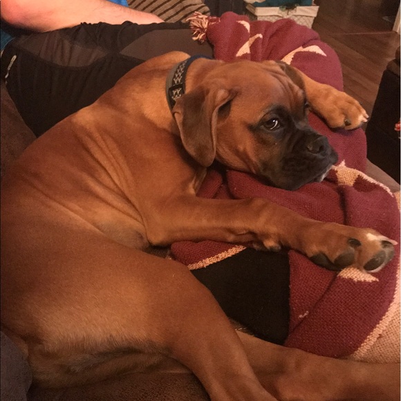 Profile Picture of Jenna Sneed (@jennasneed777) on Poshmark