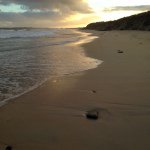 Profile Picture of Cathy Allen (@cathy.allen) on Instagram