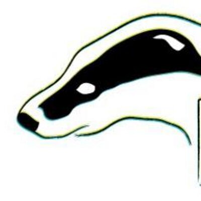 Profile Picture of Nancy Badger (@badgervocals) on Twitter