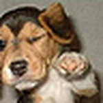 Colin Keenan - Flickr Profile Picture of Colin Keenan (@7_worlds_collide) on Flickr