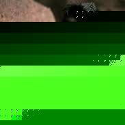 Profile Picture of Burners Lee (@reckonaccountshosted) on Myspace