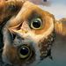 Profile Picture of Ronda Pickett (@rondaz64) on Pinterest