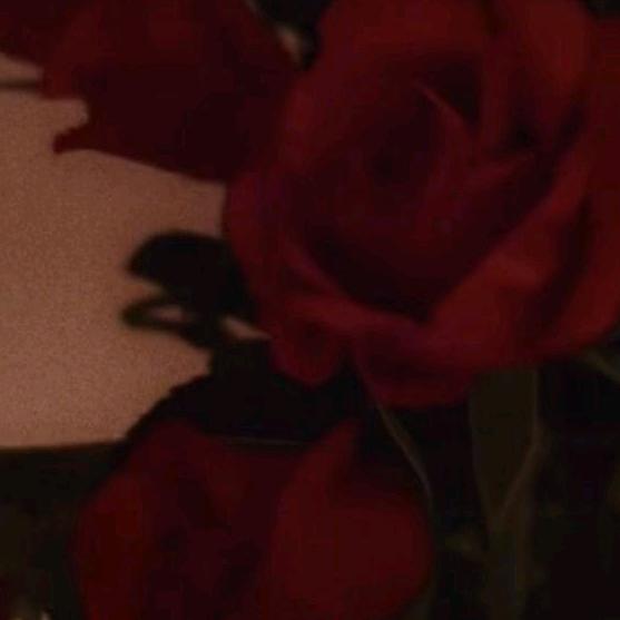 vivia - Tiktok Profile Picture of vivia (@viviannelll) on Tiktok