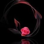 Profile Picture of Lynette Roberts Doyle (@lynetterobertsdoyle) on Instagram