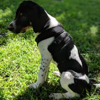 Profile Picture of Jake Hibbard (@jake-hibbard-5) on Quora