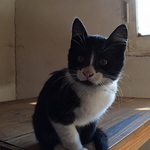 Profile Picture of Dormir al sol (@Luna Rota) on Flickr