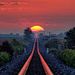 Profile Picture of Tyler Barber (@tbarber1314) on Pinterest