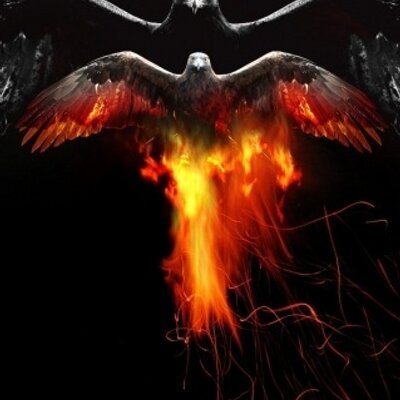 Profile Picture of Matthew Hooten (@ImpactJedi66) on Twitter