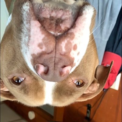Profile Picture of Aaron Raney (@AaronRaney) on Twitter