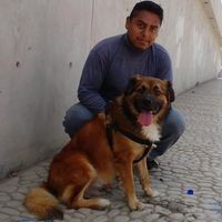 David Bali - Quora Profile Picture of David Bali (@david-bali-6) on Quora