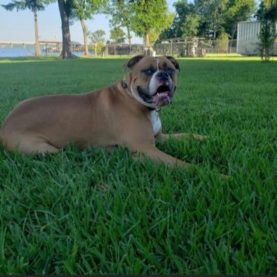 Carson Dunn - Twitter Profile Picture of Carson Dunn (@CarsonDunn12) on Twitter