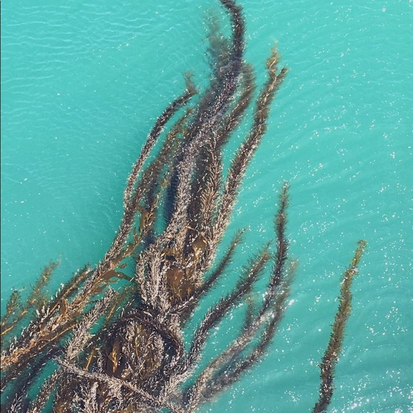 Profile Picture of Michelle Heydorn (@mheydorn) on Poshmark