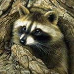 Profile Picture of Jimmy Peng (@jimmy.peng.aha) on Instagram