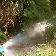 Profile Picture of terencehuggins (@terencehuggins) on Tiktok