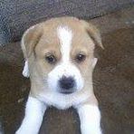 Profile Picture of Boban Jovanovski (@boban.jovanovski.31) on Facebook