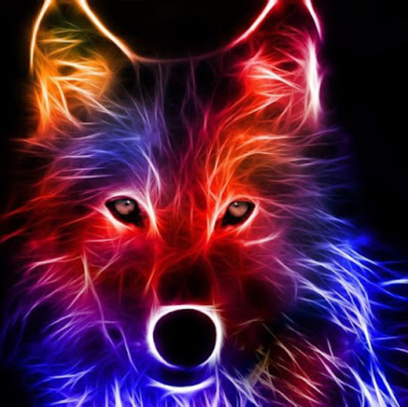 Profile Picture of Mackenzie Mcfadden (@mackenziemcf881) on Poshmark