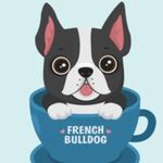 Profile Picture of Dog Breeder (@frenchie11empire) on Instagram
